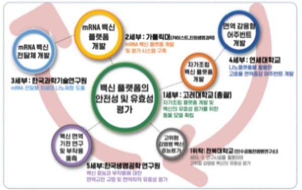 mRNA백신 플랫폼 구축 및 유효성 평가기술 연구체계 (출처: 과학기술정보통신부)