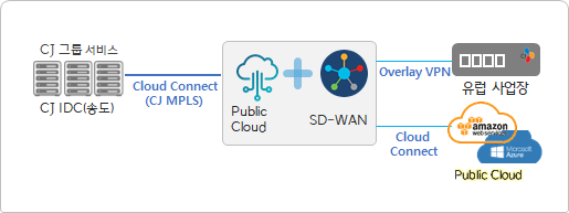 SD-WAN 방식의 글로벌 통신 거점 구성 이미지 (출처 : CJ올리브네트웍스)