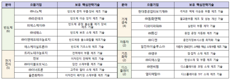 소부장 으뜸기업 및 핵심기술내용. (출처 : 산업통상자원부)