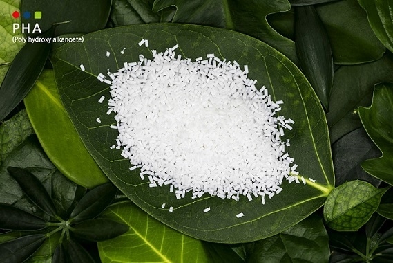 생분해성 플라스틱 소재인 PHA(Poly Hydroxy Alkanoate) (사진 : 롯데케미칼)