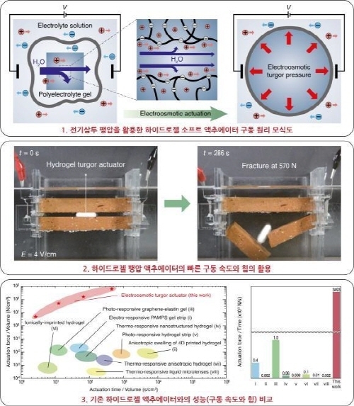 선정윤 재료공학부, 김호영 기계공학부 서울대 공대 교수 연구팀이 개발한 하이드로젤 팽압 액추에이터의 구동 원리 모식도 (출처: 서울대)