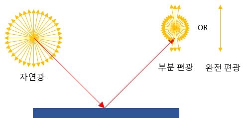 반사된 빛의 편광