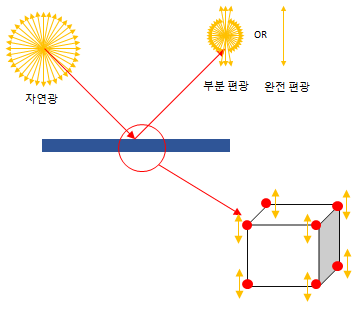 빛의 편광에 영향을 주는 물체의 분자 구조