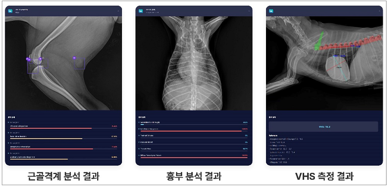 AI기반 수의영상진단 보조서비스 예시