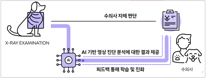 AI 기반 수의영상진단 보조서비스 ‘엑스칼리버’ 개념도