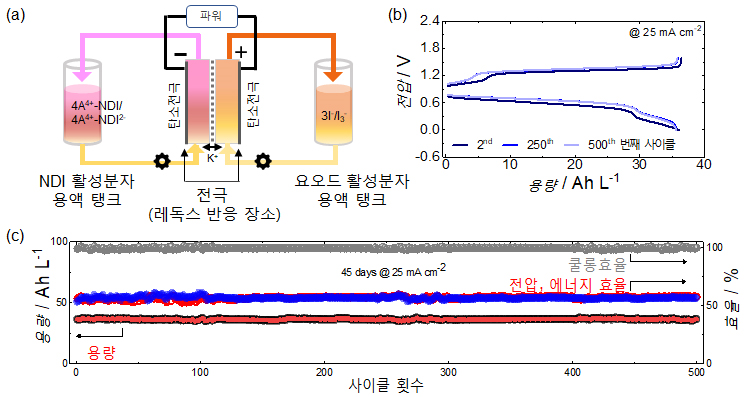 (출처 : KAIST)