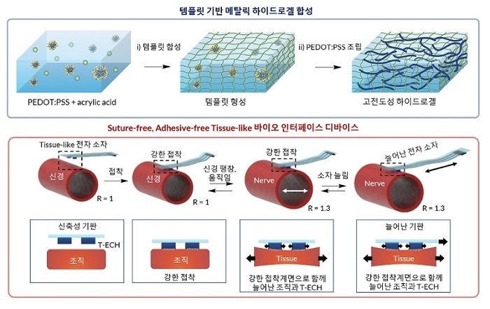 템플릿 기반 하이드로겔 합성법과 접착제 없이 구동 가능한 조직 유사 바이오 인터페이스 디바이스