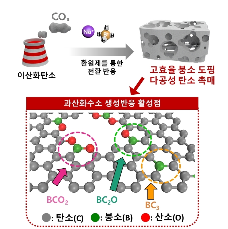 연구팀이 개발한 붕소 도핑 다공성 탄소촉매 (출처 : KIST)