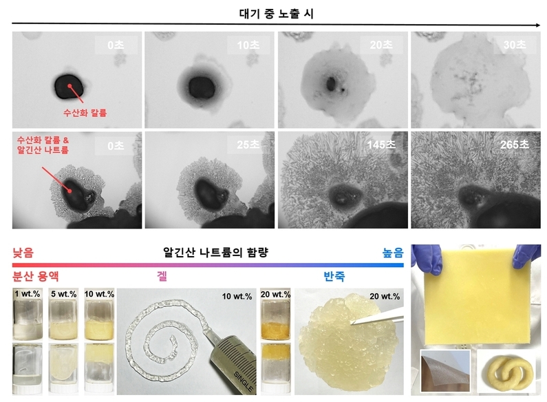 출처 : 차세대융합기술연구원