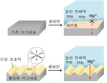 나노 구조를 만들어 활성화한 마그네슘 음극 (출처: KIST)