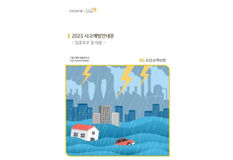 출처 : KB손해보험