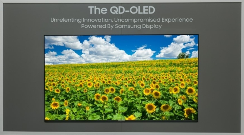 삼성디스플레이의 초대형 77형 TV용 QD-OLED (출처: 삼성디스플레이)