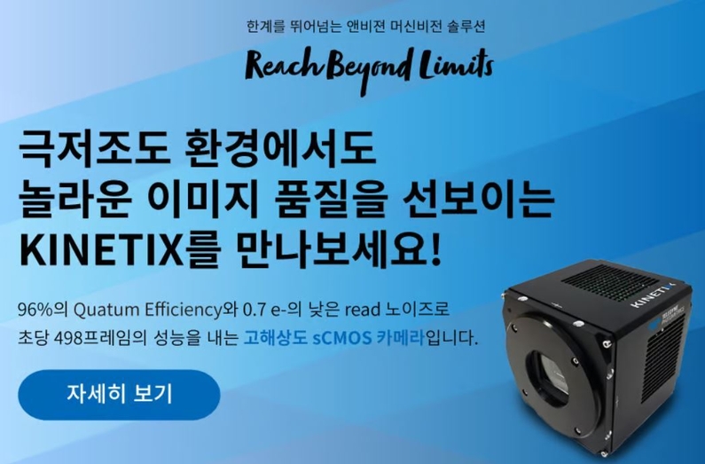 출처: 앤비젼