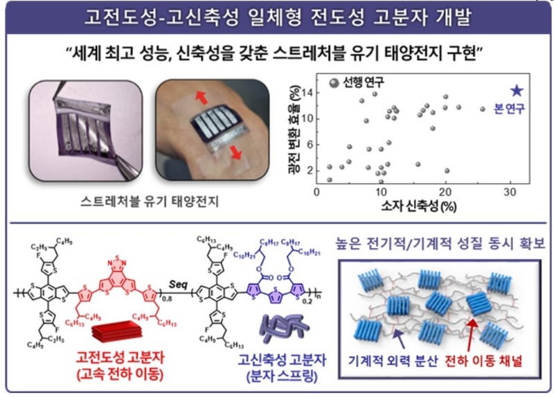 출처 : KAIST 