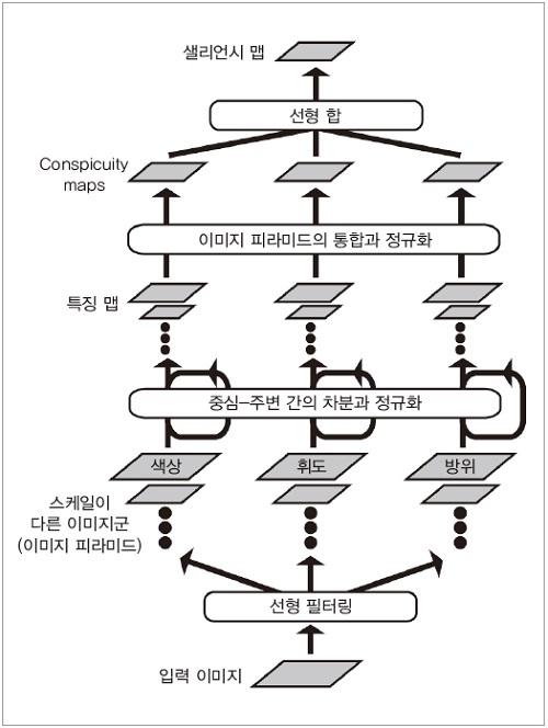 그림 2. 대뇌 시각 피질에 기초한 대표적인 샐리언시 맵 모델