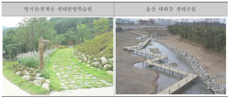 환경부제공 : 국토교통부의 해안권 발전사업 중 우수한 자연경관과 생태자원을 활용한 관광거점 조성사업과 환경부의 생태관광 프로그램 등을 연계 운영하여 동반상승(시너지)효과를 극대화하는 방안을 집중적으로 논의할 예정이다.