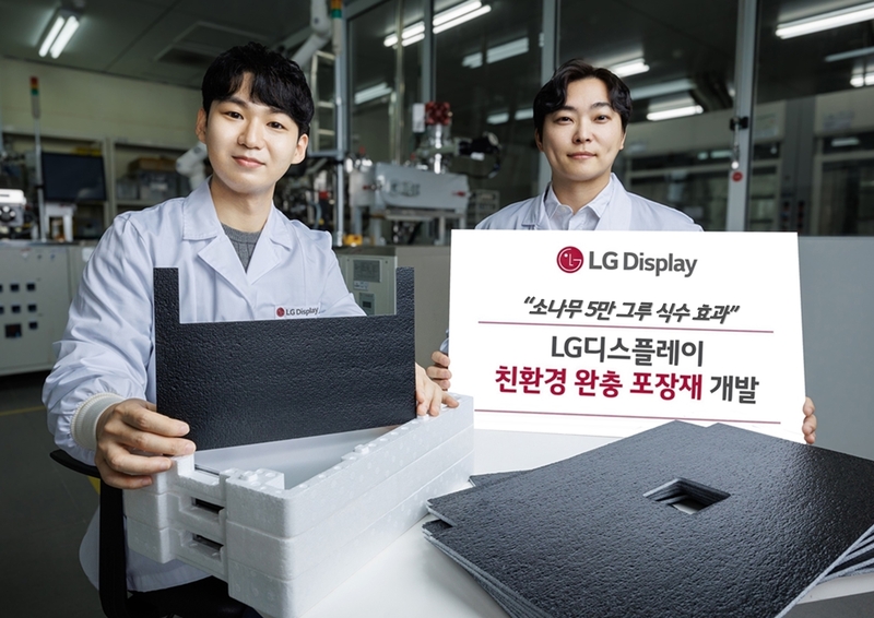 LG디스플레이가 친환경 완충 포장재를 개발했다. (출처 : LG디스플레이)