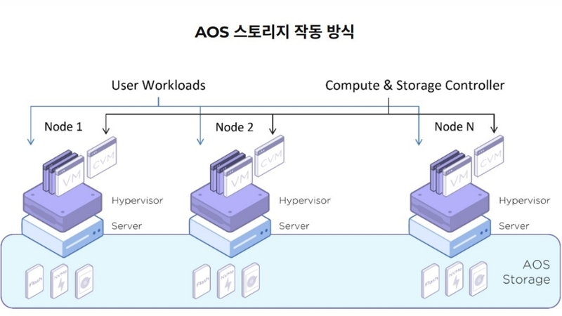 출처:뉴타닉스 홈페이지