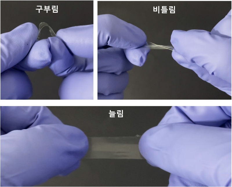 공동연구팀이 개발한 고무처럼 늘어나면서 반응물질을 가지고 있는 기능성 고체 전해질 (출처 : 인하대)