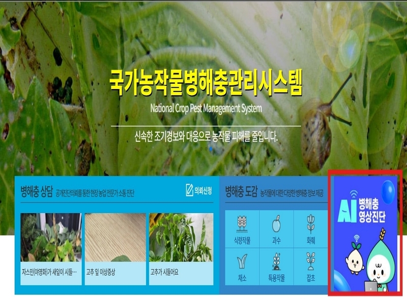 농촌진흥청 사이트 내에서 제공하는 AI 병해충 영상진단 서비스 (오른쪽 하단 빨간색 박스) 