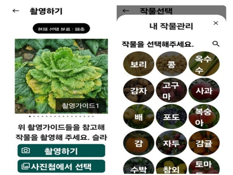 병해충 AI 영상진단 및 처방 앱 화면 (출처:농촌진흥청)