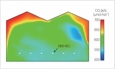그림 1. CO2 시용(전체 시용)한 식물 공장(딸기 고설 재배) 횡단면의 CO2 농도 공간 분포 (Zhang et al., 2020을 일부 수정)