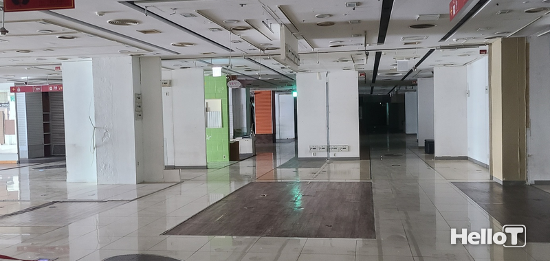 기사 이해를 돕기 위한 이미지 / 지상물매수청구권은 건물, 기타 공작물의 소유 또는 식목, 채염, 목축을 목적으로 한 토지 임대차 만료 후 임차인의 중요한 권리다.