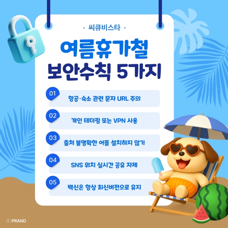 출처:씨큐비스타