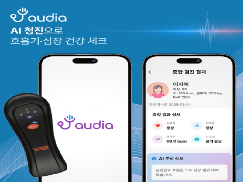 출처:밤볼