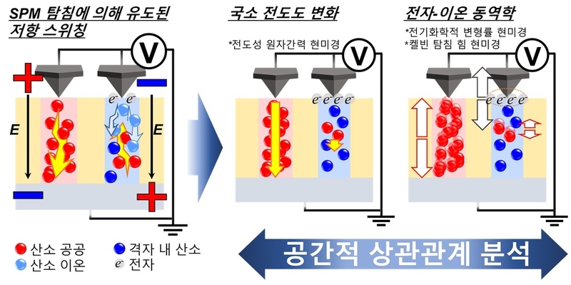 연구 과정 개요 (출처 : KAIST)