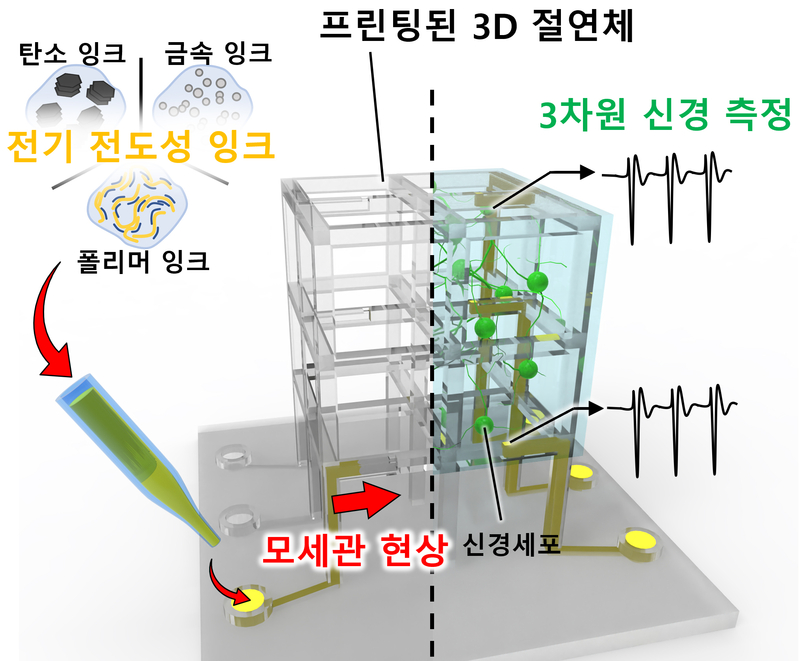 체외배양 3D 신경네트웍 모델용 맞춤형 세포배양 지지체-미세전극칩 일체형 플랫폼 개요도 (출처 : KAIST)