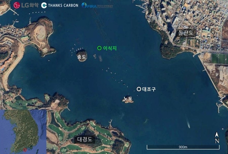 땡스카본- LG화학의 ‘블루카본 잘피 서식지 복원 사업’ 연구 및 사업 위치 / 출처 - 땡스카본
