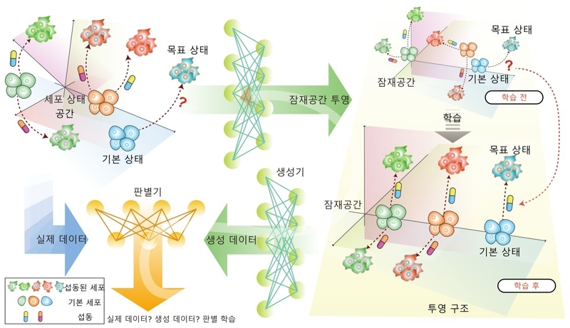 잠재공간 방향 벡터 기반 세포 전이 모델링 (출처 : KAIST)