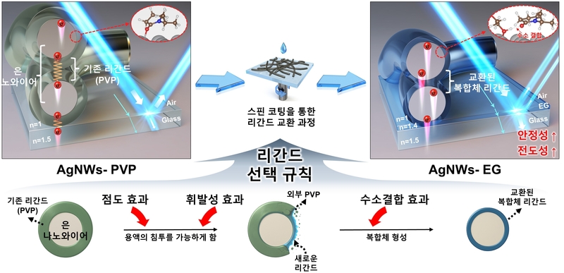 스핀 코딩을 이용한 은 나노 와이어 표면 교환 과정 모식도 (출처 : UNIST)