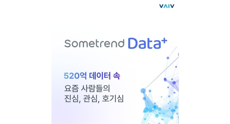 썸트렌드 데이터 플러스 (출처 : 바이브컴퍼니)