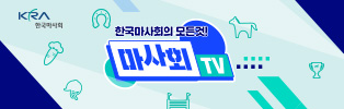 배너