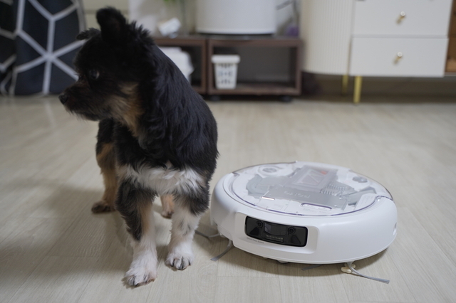 [봇규가 다봐드림] 흡입력 전쟁 끝, 이제는 '운용 품질' 시대...‘DJI 로모’가 검증한 드론 DNA의 위력