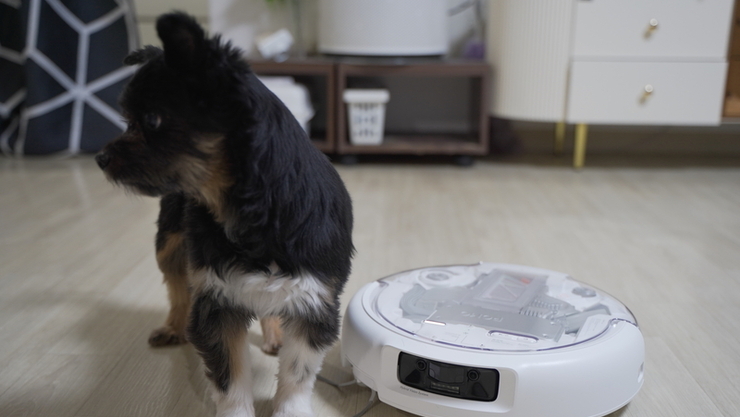 [봇규가 다봐드림] 흡입력 전쟁 끝, 이제는 '운용 품질' 시대...‘DJI 로모’가 검증한 드론 DNA의 위력