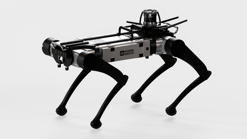 레인보우로보틱스-디스펙터, 건설 현장 지키는 '사족 보행 순찰 로봇'... - 뉴스 썸네일 이미지